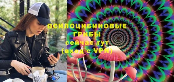 МДПВ Заводоуковск